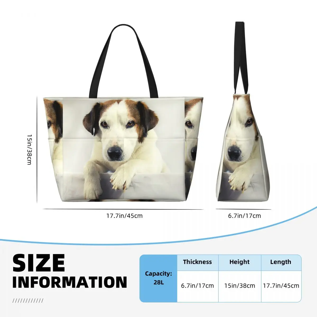 Dog Jack Russell Terrier Photo - Yoga Fitness Photos recension och pris